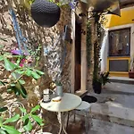 Lily * Rovinj